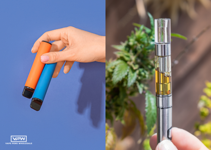 Disposable vape and cannabis vape pen comparison