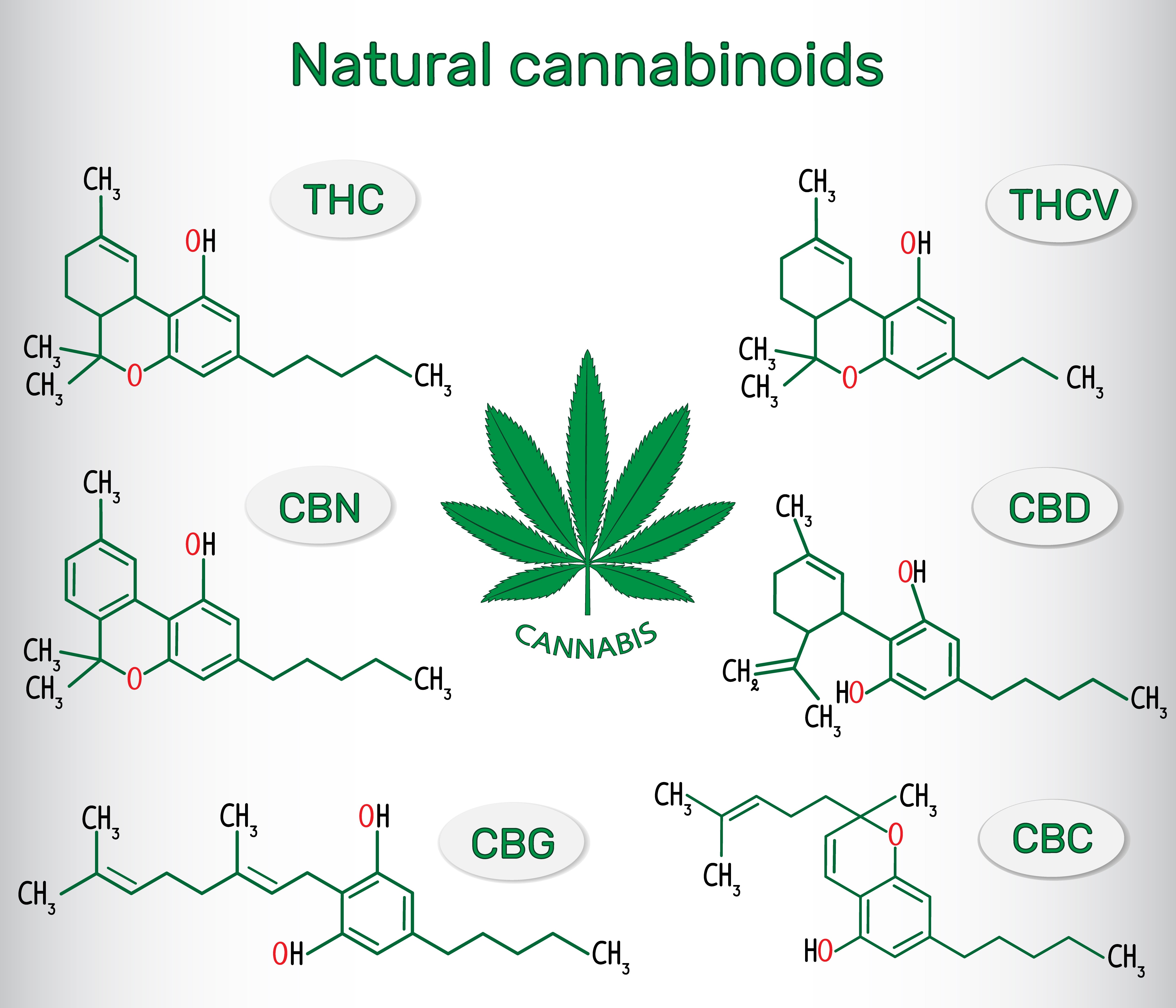 Major and Minor Cannabinoids in the Cannabis Plant