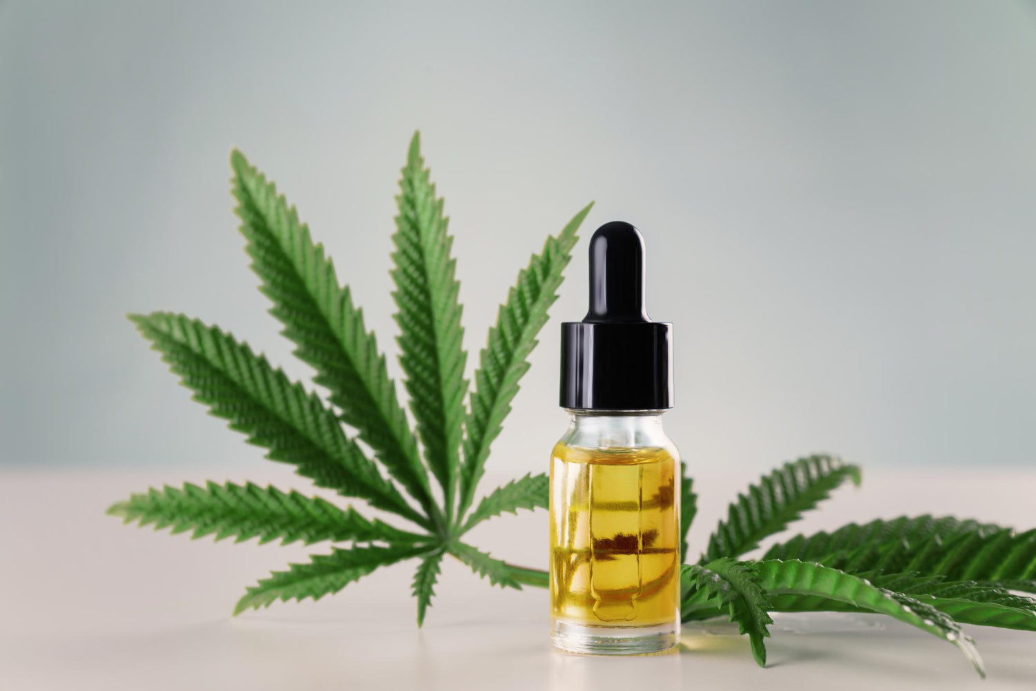Cannabis Oil and Concentrate Typs